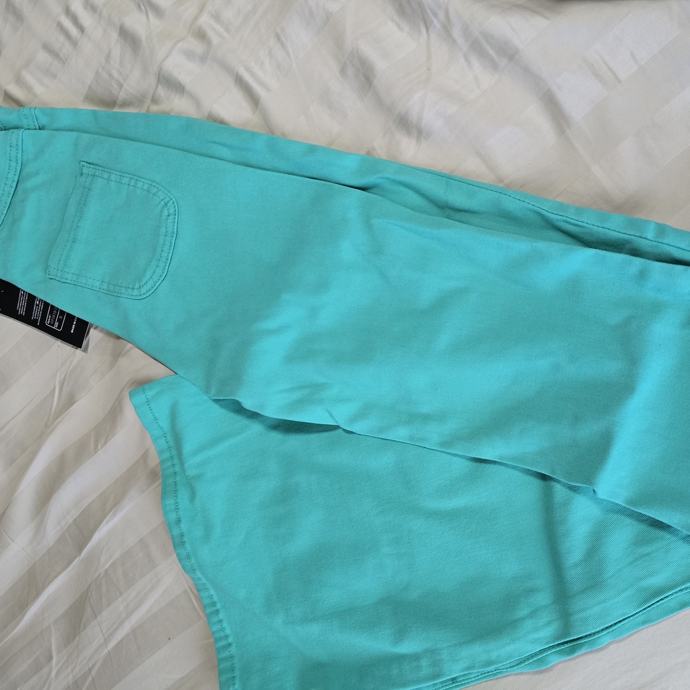 Mint Super Stretch Bell Bottoms